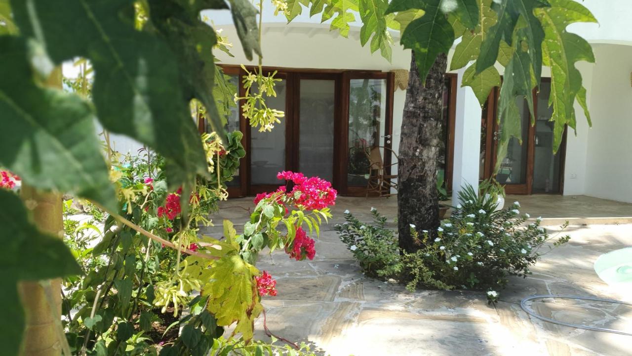 Moyo Apartment Pwani Mchangani Dış mekan fotoğraf
