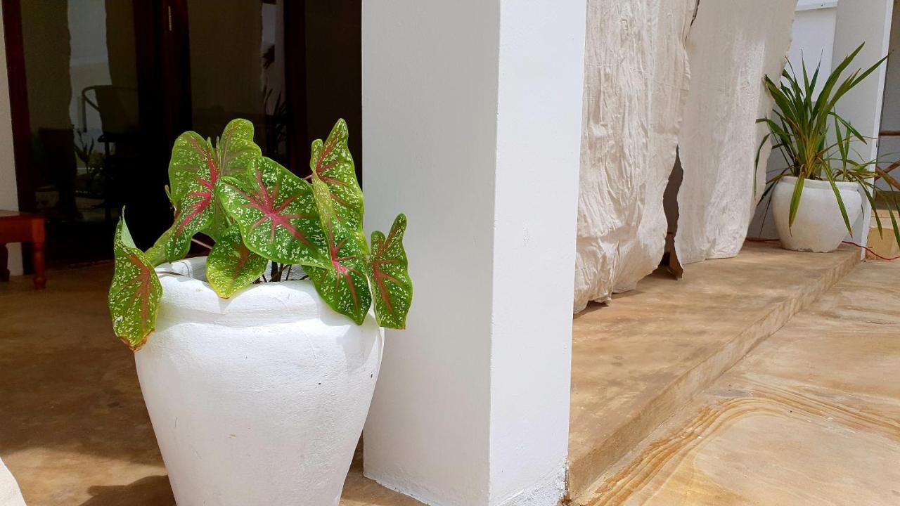 Moyo Apartment Pwani Mchangani Dış mekan fotoğraf